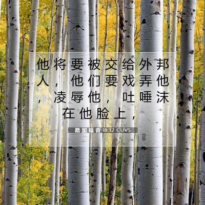 Picture 07 - 路 加 福 音 18:32 CUVS - 他 将 要 被 交 给 外 邦 人 ， 他 们 - Bible Verse Picture