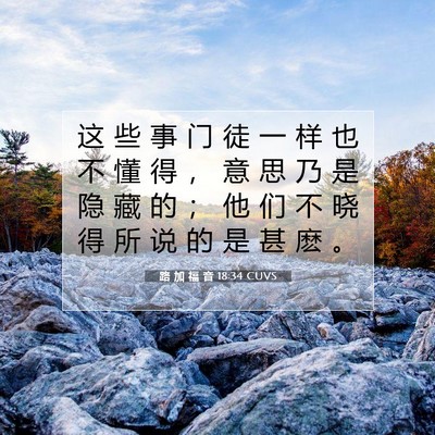 Picture 07 - 路 加 福 音 18:34 CUVS - 这 些 事 门 徒 一 样 也 不 懂 得 ， - Bible Verse Picture