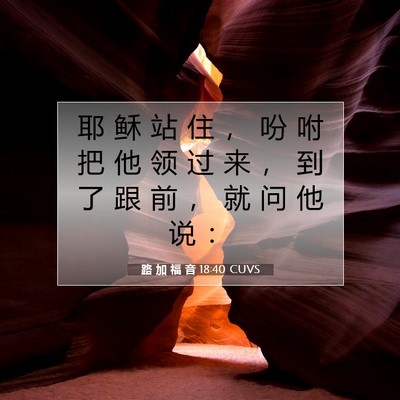 Picture 07 - 路 加 福 音 18:40 CUVS - 耶 稣 站 住 ， 吩 咐 把 他 领 过 来 - Bible Verse Picture