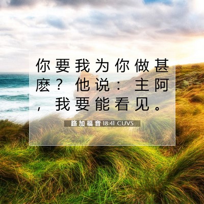 Picture 07 - 路 加 福 音 18:41 CUVS - 你 要 我 为 你 做 甚 麽 ？ 他 说 ： - Bible Verse Picture