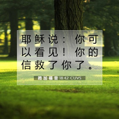 Picture 07 - 路 加 福 音 18:42 CUVS - 耶 稣 说 ： 你 可 以 看 见 ！ 你 的 - Bible Verse Picture