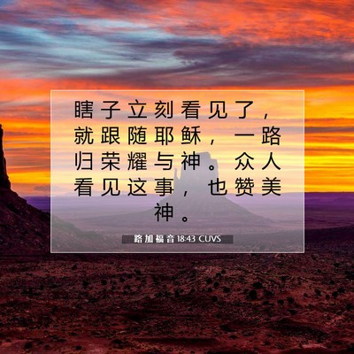 Picture 07 - 路 加 福 音 18:43 CUVS - 瞎 子 立 刻 看 见 了 ， 就 跟 随 耶 - Bible Verse Picture