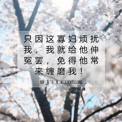 Picture 07 - 路 加 福 音 18:5 CUVS - 只 因 这 寡 妇 烦 扰 我 ， 我 就 给 - Bible Verse Picture