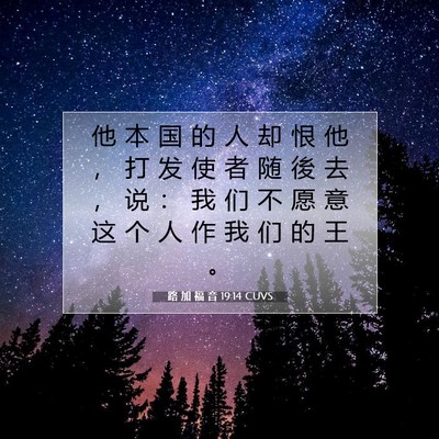 Picture 07 - 路 加 福 音 19:14 CUVS - 他 本 国 的 人 却 恨 他 ， 打 发 使 - Bible Verse Picture