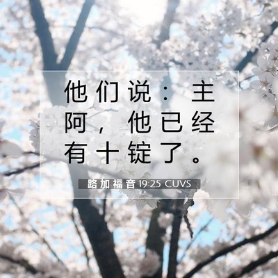 Picture 07 - 路 加 福 音 19:25 CUVS - 他 们 说 ： 主 阿 ， 他 已 经 有 十 - Bible Verse Picture