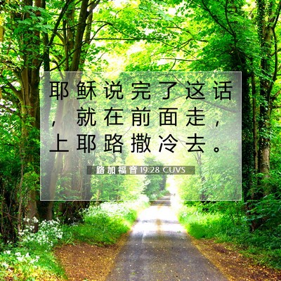 Picture 07 - 路 加 福 音 19:28 CUVS - 耶 稣 说 完 了 这 话 ， 就 在 前 面 - Bible Verse Picture