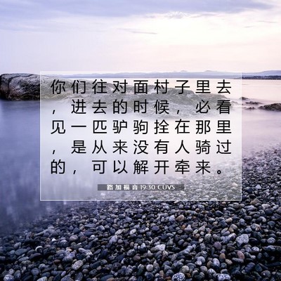 Picture 07 - 路 加 福 音 19:30 CUVS - 你 们 往 对 面 村 子 里 去 ， 进 去 - Bible Verse Picture