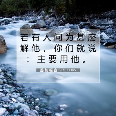 Picture 07 - 路 加 福 音 19:31 CUVS - 若 有 人 问 为 甚 麽 解 他 ， 你 们 - Bible Verse Picture