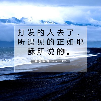Picture 07 - 路 加 福 音 19:32 CUVS - 打 发 的 人 去 了 ， 所 遇 见 的 正 - Bible Verse Picture