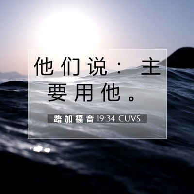 Picture 07 - 路 加 福 音 19:34 CUVS - 他 们 说 ： 主 要 用 他 - Bible Verse Picture
