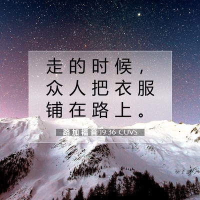 Picture 07 - 路 加 福 音 19:36 CUVS - 走 的 时 候 ， 众 人 把 衣 服 铺 在 - Bible Verse Picture