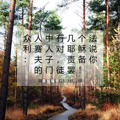 Picture 07 - 路 加 福 音 19:39 CUVS - 众 人 中 有 几 个 法 利 赛 人 对 耶 - Bible Verse Picture