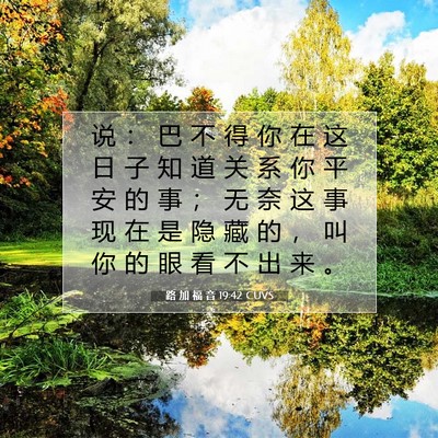 Picture 07 - 路 加 福 音 19:42 CUVS - 说 ： 巴 不 得 你 在 这 日 子 知 道 - Bible Verse Picture