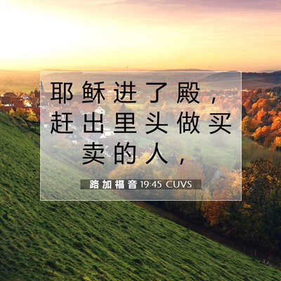 Picture 07 - 路 加 福 音 19:45 CUVS - 耶 稣 进 了 殿 ， 赶 出 里 头 做 买 - Bible Verse Picture
