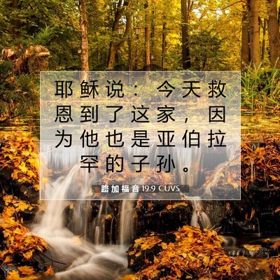 Picture 07 - 路 加 福 音 19:9 CUVS - 耶 稣 说 ： 今 天 救 恩 到 了 这 家 - Bible Verse Picture
