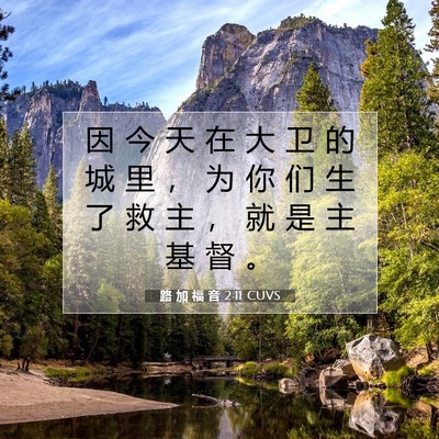 Picture 07 - 路 加 福 音 2:11 CUVS - 因 今 天 在 大 卫 的 城 里 ， 为 你 - Bible Verse Picture