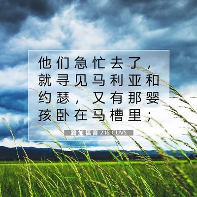 Picture 07 - 路 加 福 音 2:16 CUVS - 他 们 急 忙 去 了 ， 就 寻 见 马 利 - Bible Verse Picture