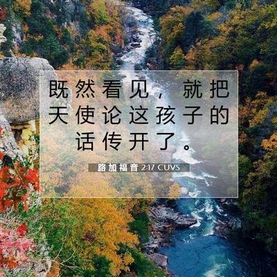 Picture 07 - 路 加 福 音 2:17 CUVS - 既 然 看 见 ， 就 把 天 使 论 这 孩 - Bible Verse Picture