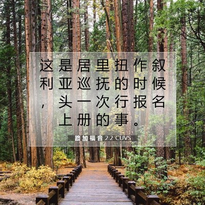 Picture 07 - 路 加 福 音 2:2 CUVS - 这 是 居 里 扭 作 叙 利 亚 巡 抚 的 - Bible Verse Picture