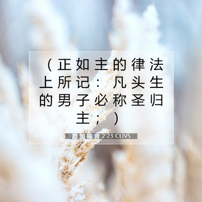 Picture 07 - 路 加 福 音 2:23 CUVS - （ 正 如 主 的 律 法 上 所 记 ： 凡 - Bible Verse Picture