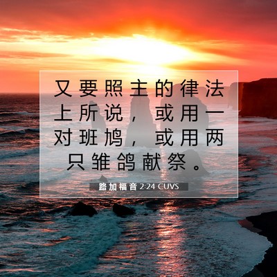 Picture 07 - 路 加 福 音 2:24 CUVS - 又 要 照 主 的 律 法 上 所 说 ， 或 - Bible Verse Picture