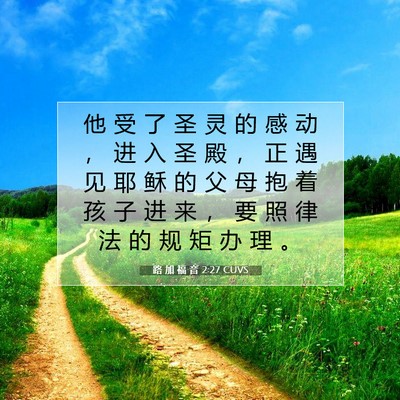 Picture 07 - 路 加 福 音 2:27 CUVS - 他 受 了 圣 灵 的 感 动 ， 进 入 圣 - Bible Verse Picture