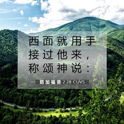 Picture 07 - 路 加 福 音 2:28 CUVS - 西 面 就 用 手 接 过 他 来 ， 称 颂 - Bible Verse Picture