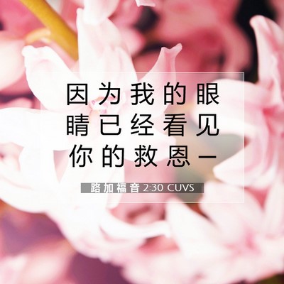 Picture 07 - 路 加 福 音 2:30 CUVS - 因 为 我 的 眼 睛 已 经 看 见 你 的 - Bible Verse Picture