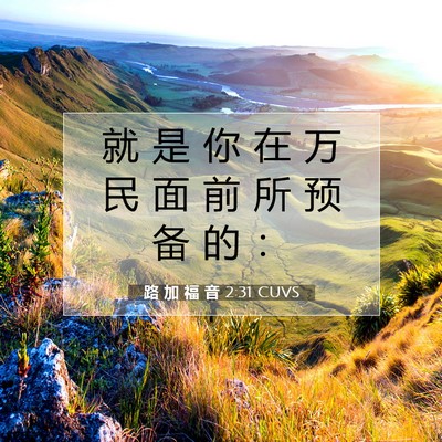 Picture 07 - 路 加 福 音 2:31 CUVS - 就 是 你 在 万 民 面 前 所 预 备 的 - Bible Verse Picture