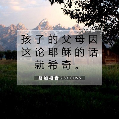 Picture 07 - 路 加 福 音 2:33 CUVS - 孩 子 的 父 母 因 这 论 耶 稣 的 话 - Bible Verse Picture
