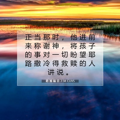 Picture 07 - 路 加 福 音 2:38 CUVS - 正 当 那 时 ， 他 进 前 来 称 谢 神 - Bible Verse Picture