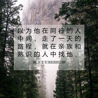 Picture 07 - 路 加 福 音 2:44 CUVS - 以 为 他 在 同 行 的 人 中 间 ， 走 - Bible Verse Picture
