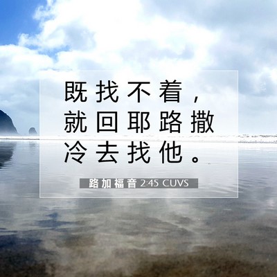 Picture 07 - 路 加 福 音 2:45 CUVS - 既 找 不 着 ， 就 回 耶 路 撒 冷 去 - Bible Verse Picture