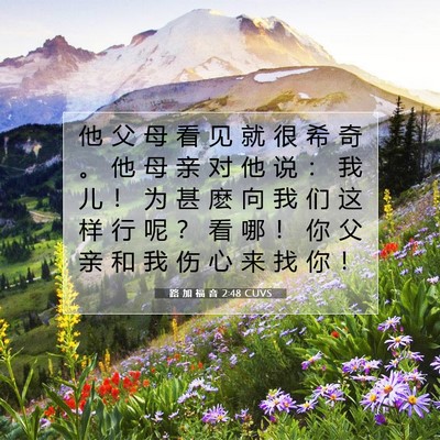 Picture 07 - 路 加 福 音 2:48 CUVS - 他 父 母 看 见 就 很 希 奇 。 他 母 - Bible Verse Picture