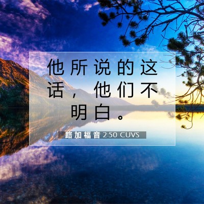 Picture 07 - 路 加 福 音 2:50 CUVS - 他 所 说 的 这 话 ， 他 们 不 明 白 - Bible Verse Picture