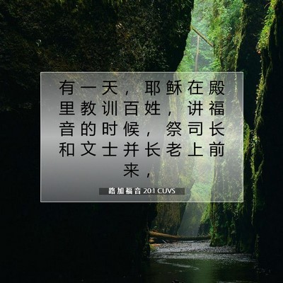 Picture 07 - 路 加 福 音 20:1 CUVS - 有 一 天 ， 耶 稣 在 殿 里 教 训 百 - Bible Verse Picture