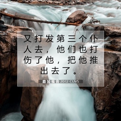 Picture 07 - 路 加 福 音 20:12 CUVS - 又 打 发 第 三 个 仆 人 去 ， 他 们 - Bible Verse Picture