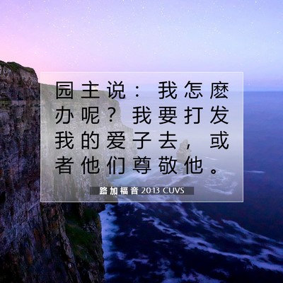 Picture 07 - 路 加 福 音 20:13 CUVS - 园 主 说 ： 我 怎 麽 办 呢 ？ 我 要 - Bible Verse Picture