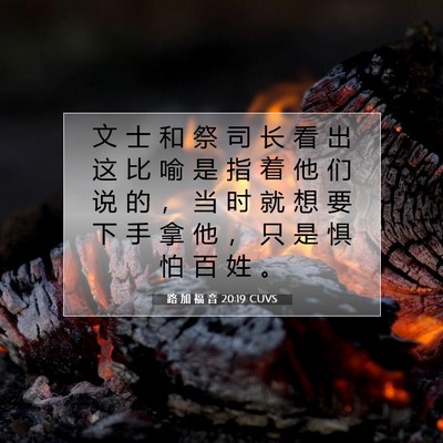 Picture 07 - 路 加 福 音 20:19 CUVS - 文 士 和 祭 司 长 看 出 这 比 喻 是 - Bible Verse Picture