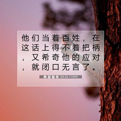 Picture 07 - 路 加 福 音 20:26 CUVS - 他 们 当 着 百 姓 ， 在 这 话 上 得 - Bible Verse Picture