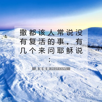 Picture 07 - 路 加 福 音 20:27 CUVS - 撒 都 该 人 常 说 没 有 复 活 的 事 - Bible Verse Picture