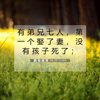 Picture 07 - 路 加 福 音 20:29 CUVS - 有 弟 兄 七 人 ， 第 一 个 娶 了 妻 - Bible Verse Picture