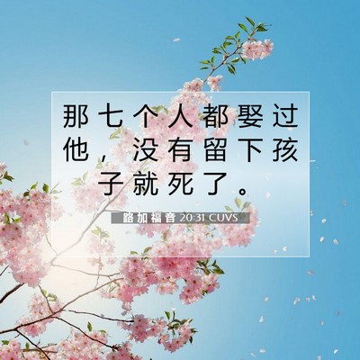 Picture 07 - 路 加 福 音 20:31 CUVS - 那 七 个 人 都 娶 过 他 ， 没 有 留 - Bible Verse Picture