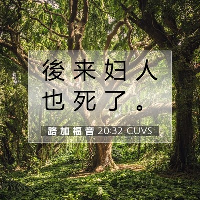 Picture 07 - 路 加 福 音 20:32 CUVS - 後 来 妇 人 也 死 了 - Bible Verse Picture