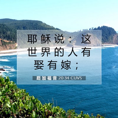 Picture 07 - 路 加 福 音 20:34 CUVS - 耶 稣 说 ： 这 世 界 的 人 有 娶 有 - Bible Verse Picture