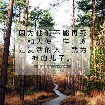 Picture 07 - 路 加 福 音 20:36 CUVS - 因 为 他 们 不 能 再 死 ， 和 天 使 - Bible Verse Picture