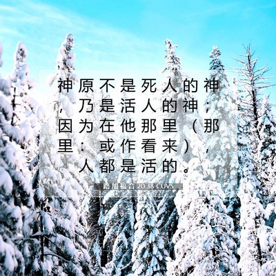 Picture 07 - 路 加 福 音 20:38 CUVS - 神 原 不 是 死 人 的 神 ， 乃 是 活 - Bible Verse Picture