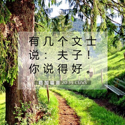 Picture 07 - 路 加 福 音 20:39 CUVS - 有 几 个 文 士 说 ： 夫 子 ！ 你 说 - Bible Verse Picture