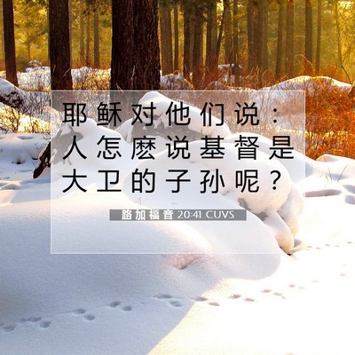 Picture 07 - 路 加 福 音 20:41 CUVS - 耶 稣 对 他 们 说 ： 人 怎 麽 说 基 - Bible Verse Picture