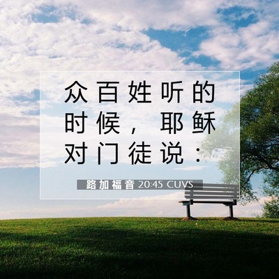 Picture 07 - 路 加 福 音 20:45 CUVS - 众 百 姓 听 的 时 候 ， 耶 稣 对 门 - Bible Verse Picture